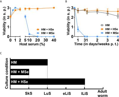 Host-Specific Serum Factors Control the Development and Survival of Schistosoma mansoni